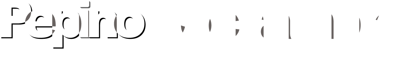 Logo PC Noche